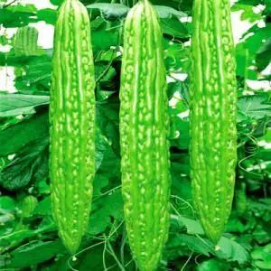 夏至养生重在健脾,夏至节气该如何解暑和养生