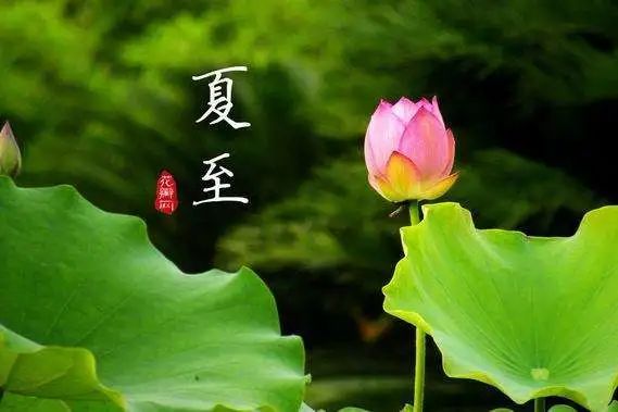 夏至养生重在健脾,夏至节气该如何解暑和养生