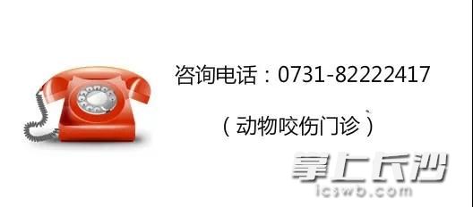 被乌龟咬要打狂犬疫苗吗,6岁男孩被狗咬伤13天后狂犬病发生