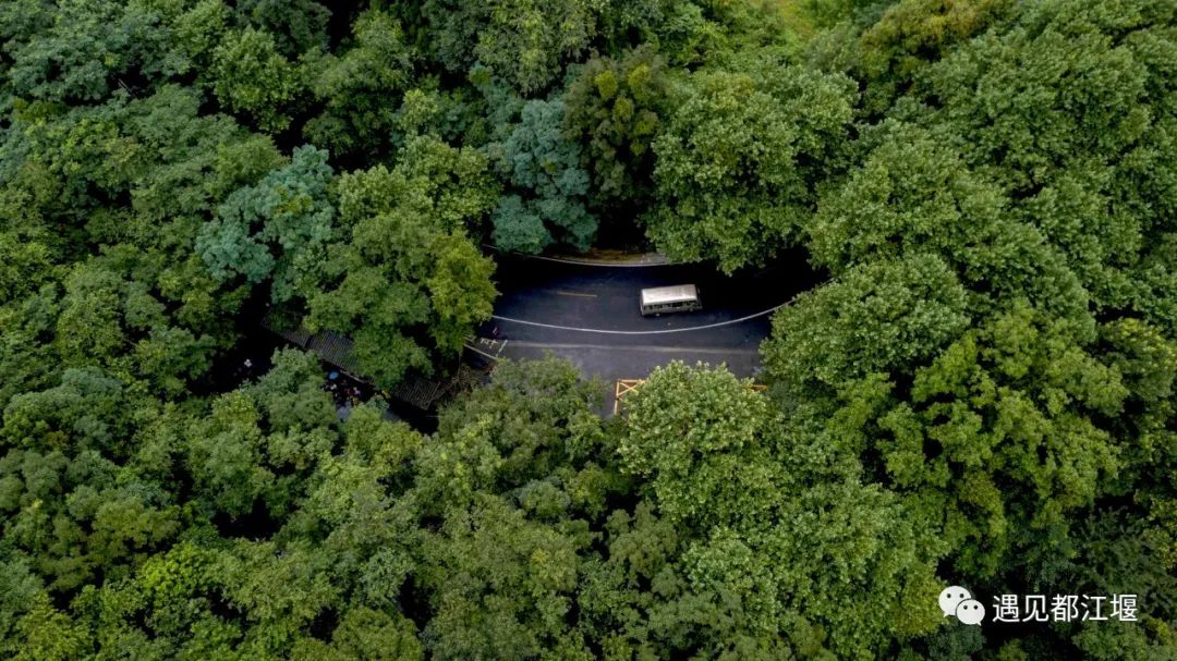 端午假期去哪儿玩都江堰,都江堰景区端午人多不多