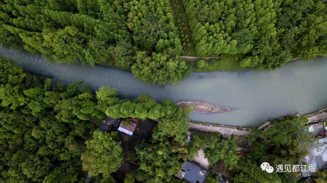 端午假期去哪儿玩都江堰,都江堰景区端午人多不多