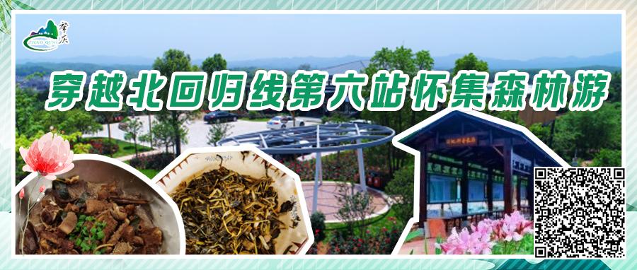 暑假肇庆旅游攻略,带上行囊出发吧