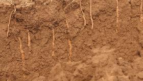 麻花吃起来又香又酥又甜,麻花吃起来又香又酥