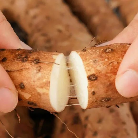 麻花吃起来又香又酥又甜,麻花吃起来又香又酥