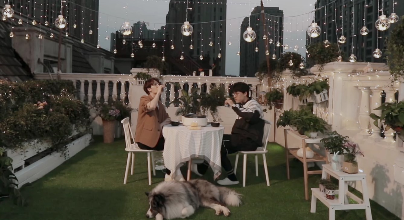 朱正廷送张雨剑礼物,朱正廷张雨剑汪喵物语