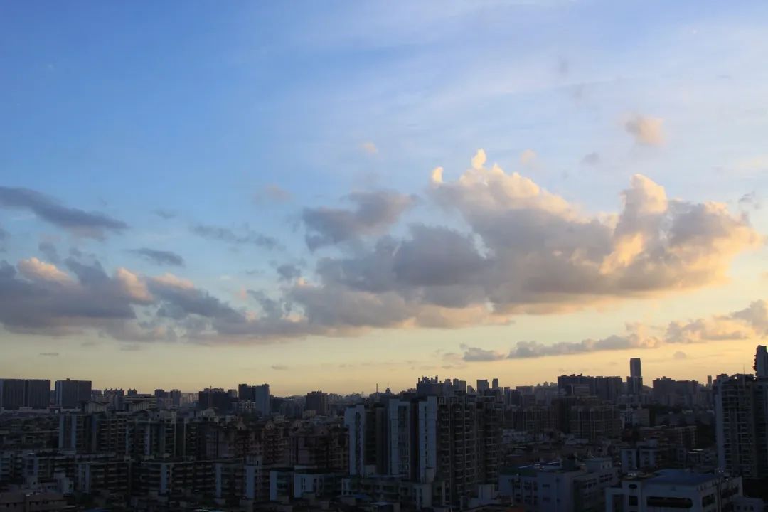 减法|我不会买的几样东西