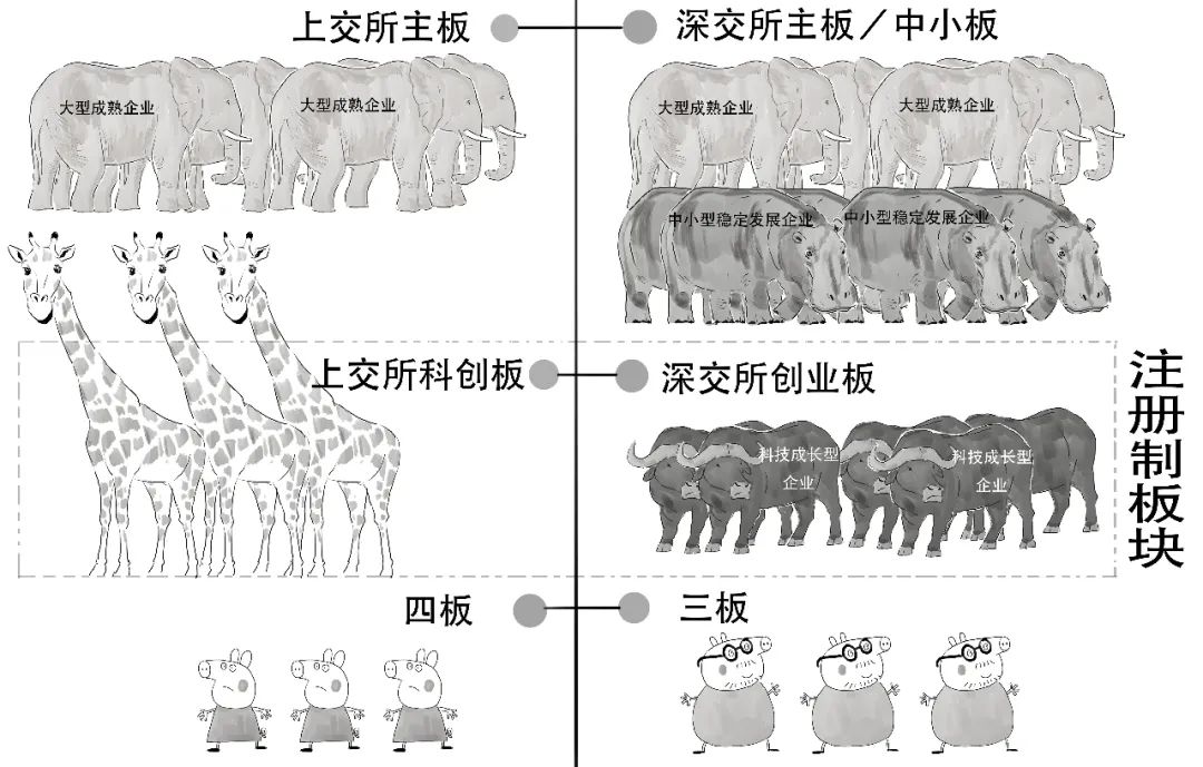 一本书教你看懂上市公司,一图看懂注册股份发行条件