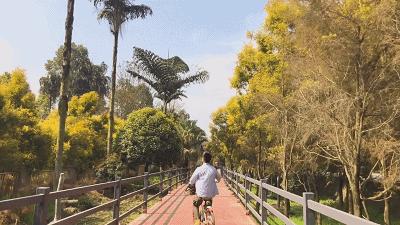 成都100种美景图片,航拍中国成都十大风景区