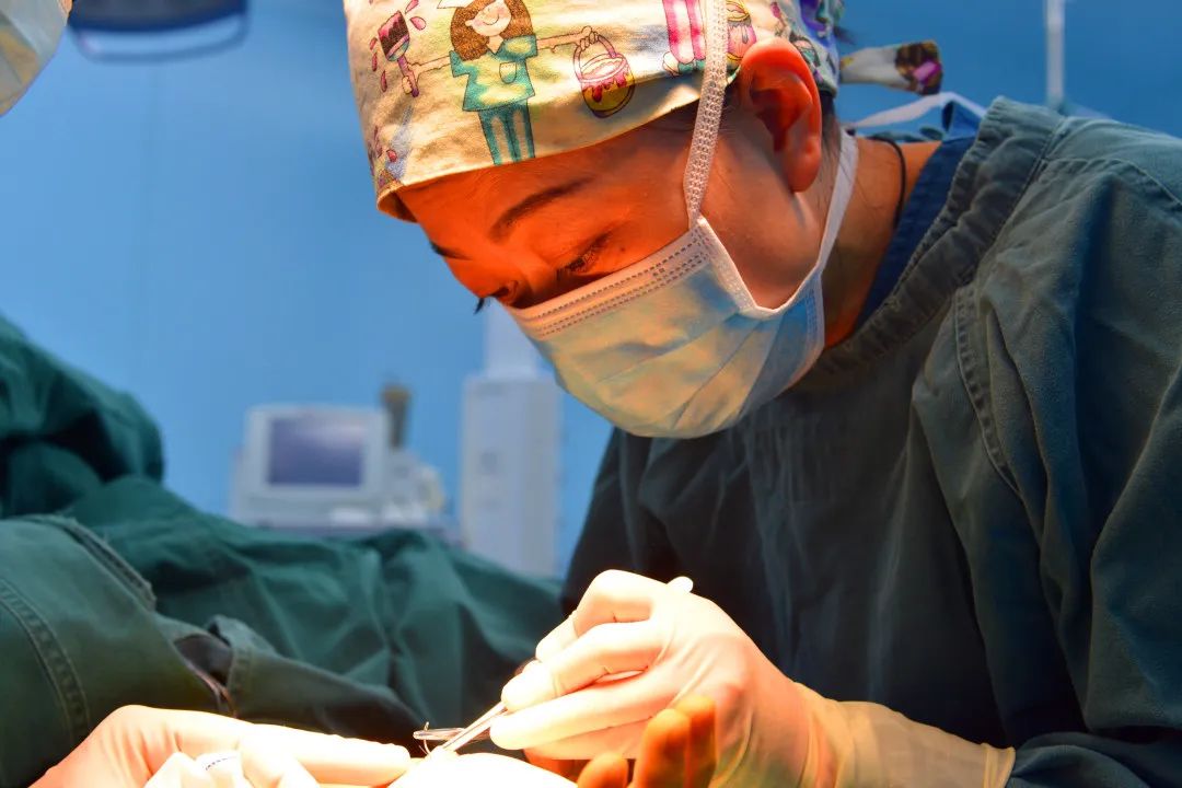 中医专栏赵萍视频,赵萍医生的视频