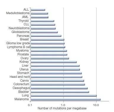 癌症的免疫治疗文献综述论文,综述癌症的免疫细胞疗法