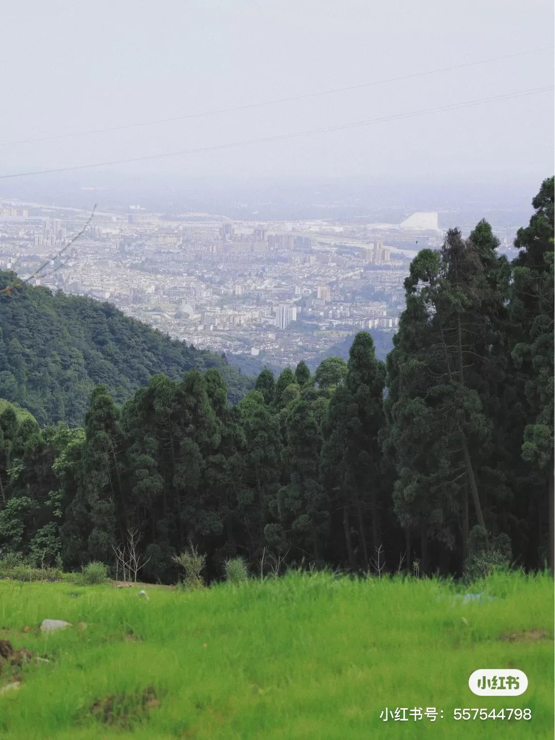 夏日避暑胜地高铁直达,坐动车可直达哪些地方避暑