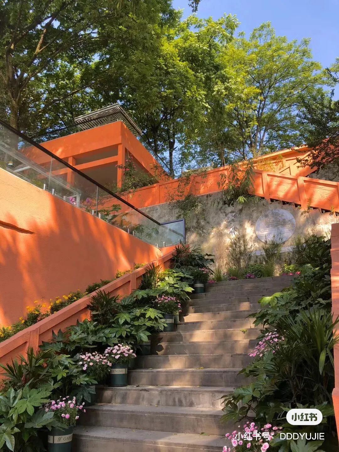 夏日避暑胜地高铁直达,坐动车可直达哪些地方避暑