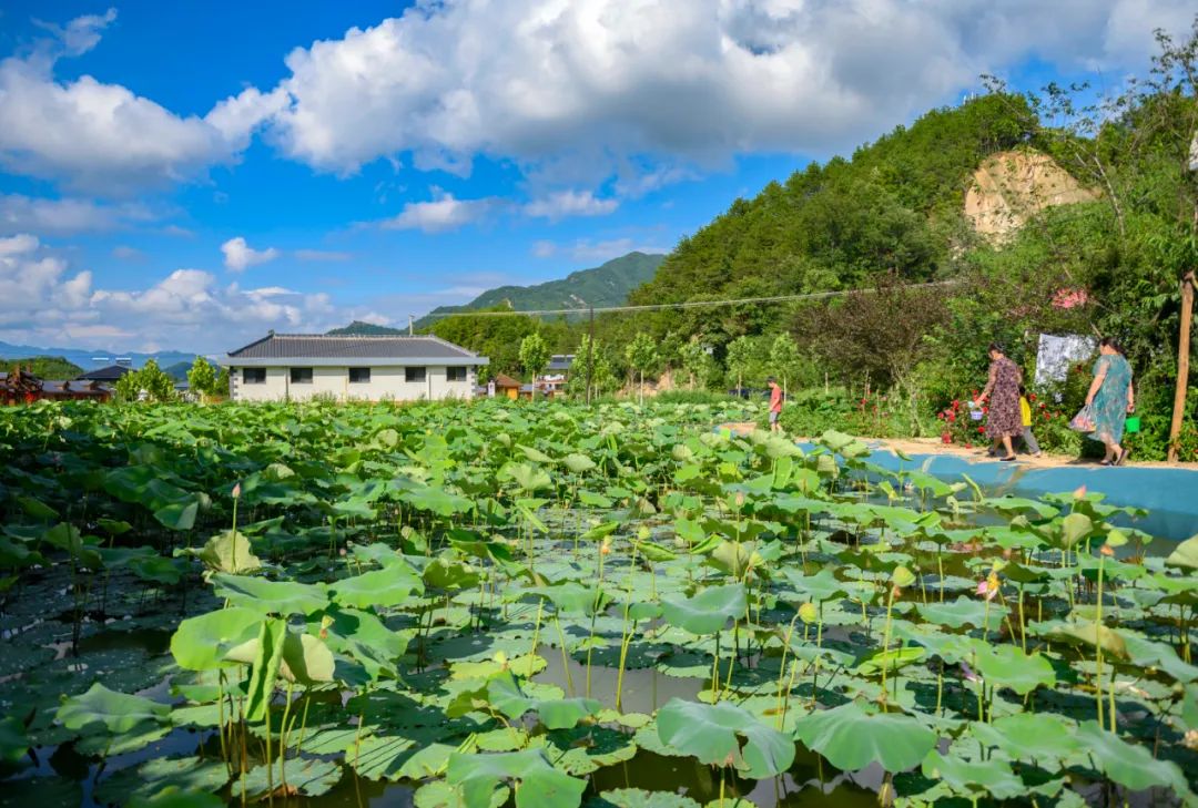 洛阳打卡攻略,洛阳打卡必去的十大景点