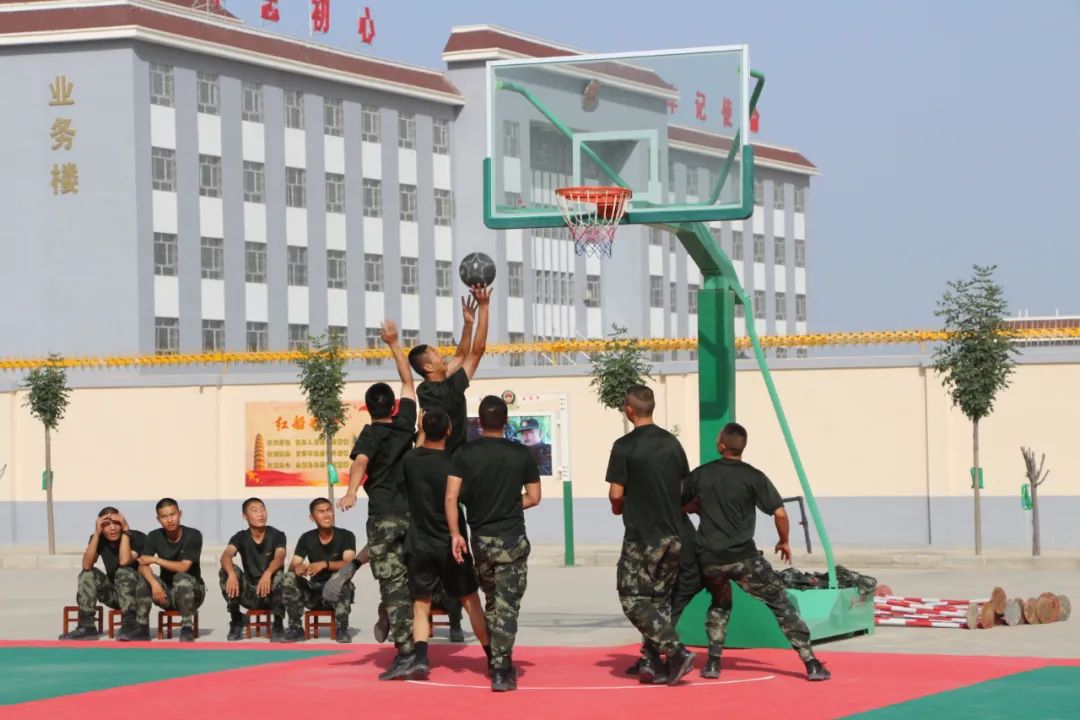 武林闲侠秘籍有什么用,武林秘籍小本本