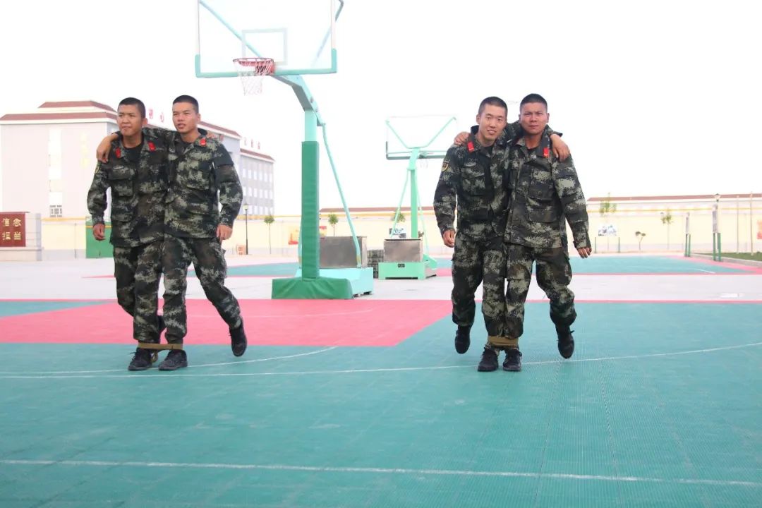 武林闲侠秘籍有什么用,武林秘籍小本本