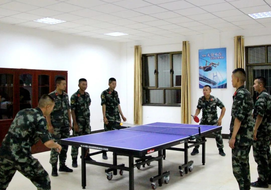 武林闲侠秘籍有什么用,武林秘籍小本本