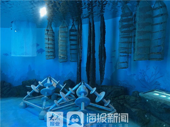 山东三生三美,三生三美看山东