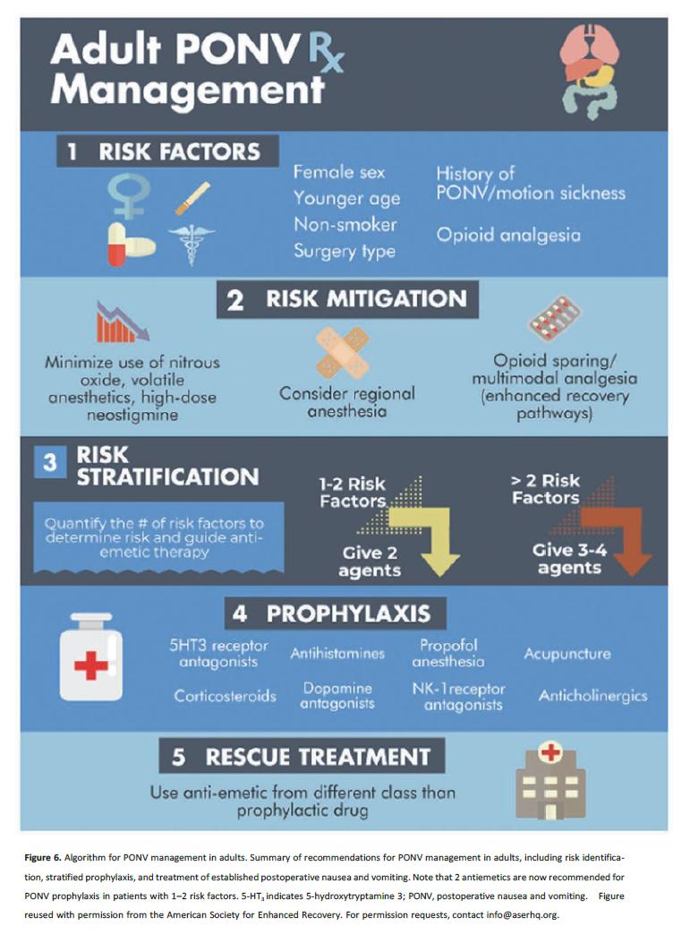 术后恶心呕吐专家共识,术后恶心呕吐防治专家共识