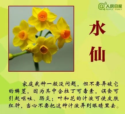 女子下雨咬叶子中毒,登山遇雨咬叶子挡雨中毒