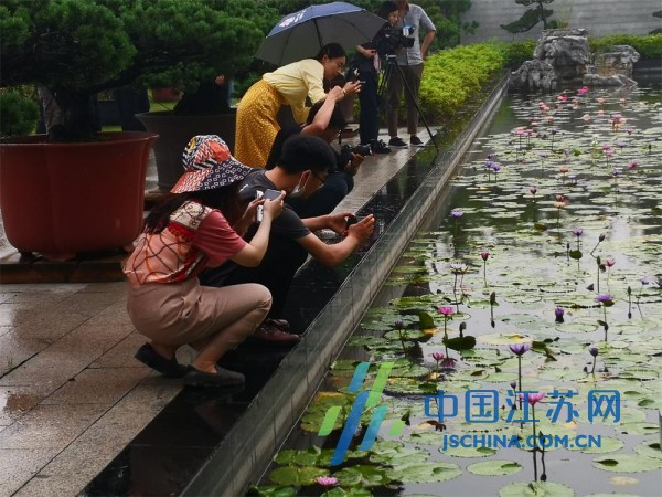 走向我们的小康生活视频,走向我们的小康生活辽宁