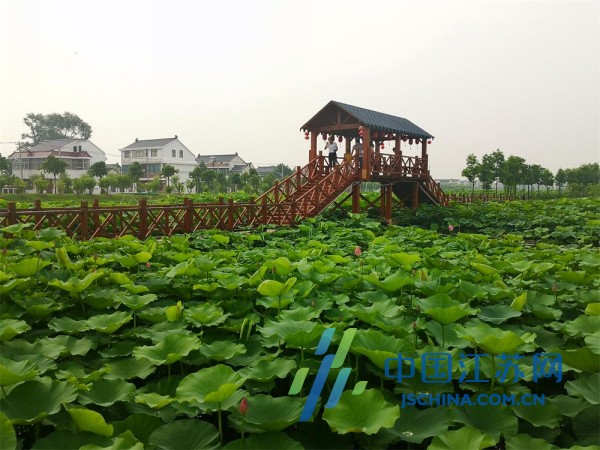 走向我们的小康生活视频,走向我们的小康生活辽宁