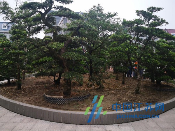 走向我们的小康生活视频,走向我们的小康生活辽宁