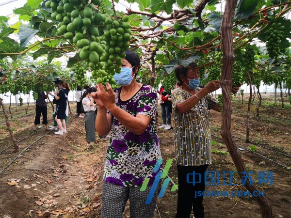 走向我们的小康生活视频,走向我们的小康生活辽宁