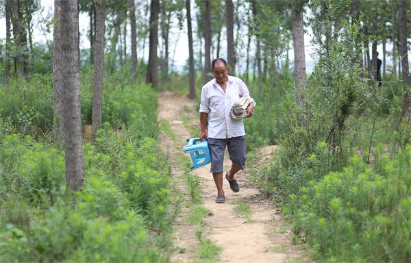 七旬大爷五战高考,71岁老人五战高考