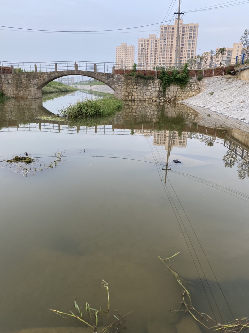 大河一直钓不到鱼,冬天大河钓鱼钓远还是钓近
