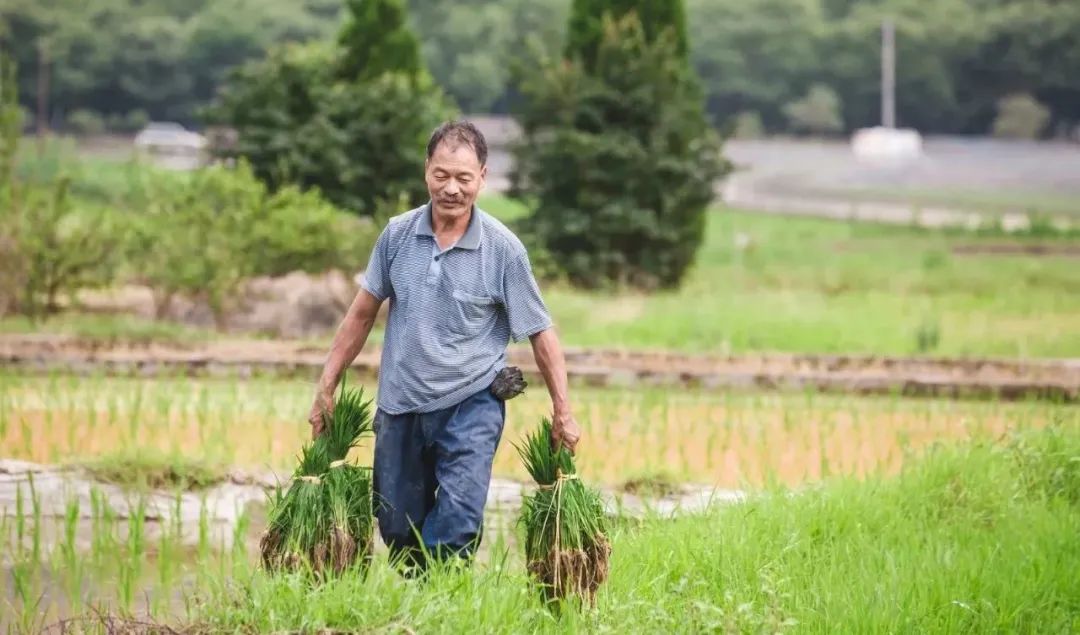 娄艺潇住的哪个酒店,娄艺潇旅游住民宿