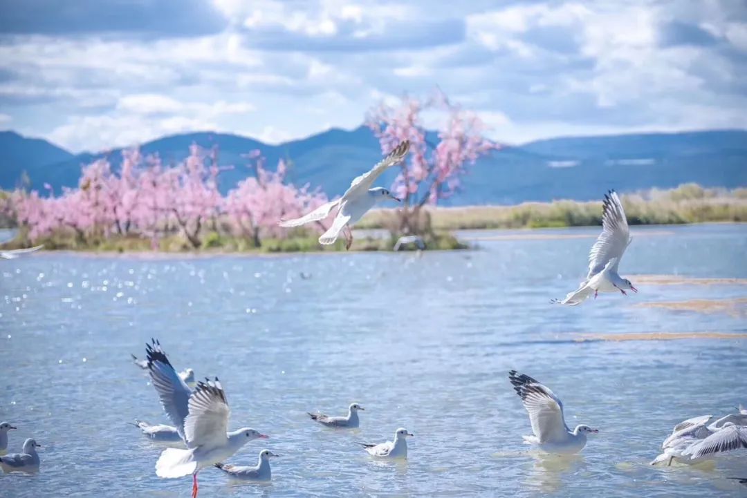 听丽江古城的声音,丽江最安静的古镇音乐