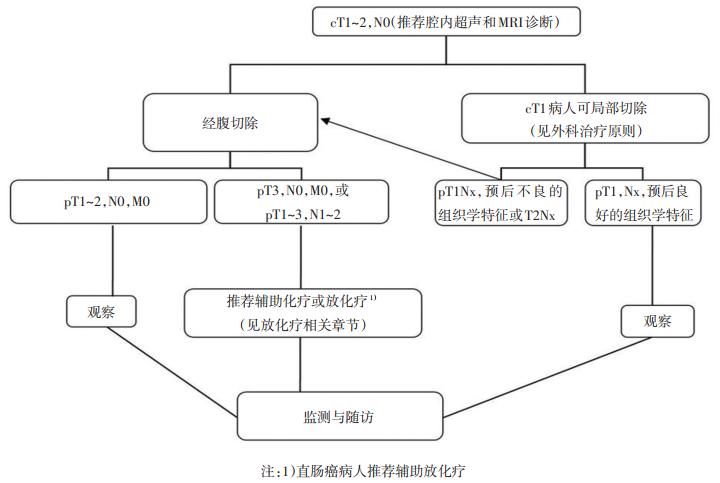 最新结直肠癌指南一览,中国结直肠癌诊疗指南