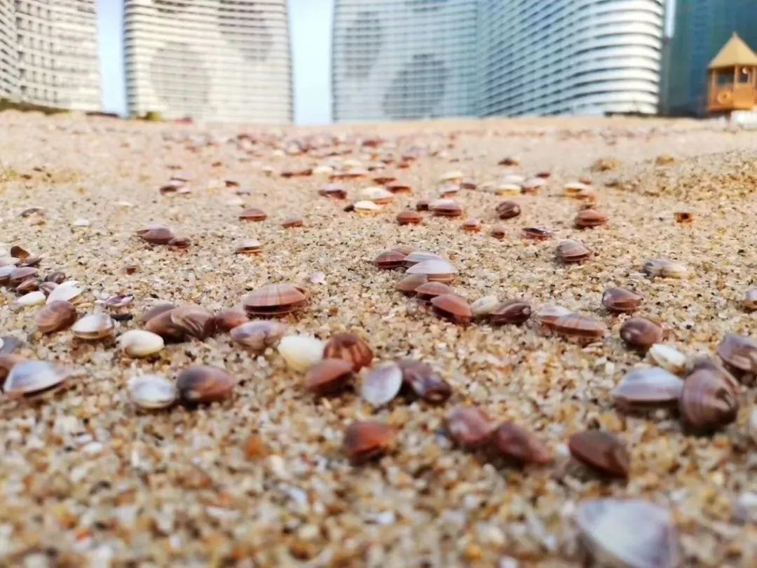 一线海景房3天2晚199元,159元一晚海景房