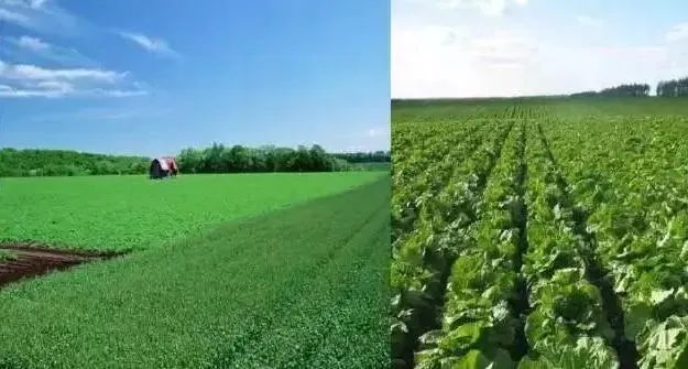 一线海景房3天2晚199元,159元一晚海景房