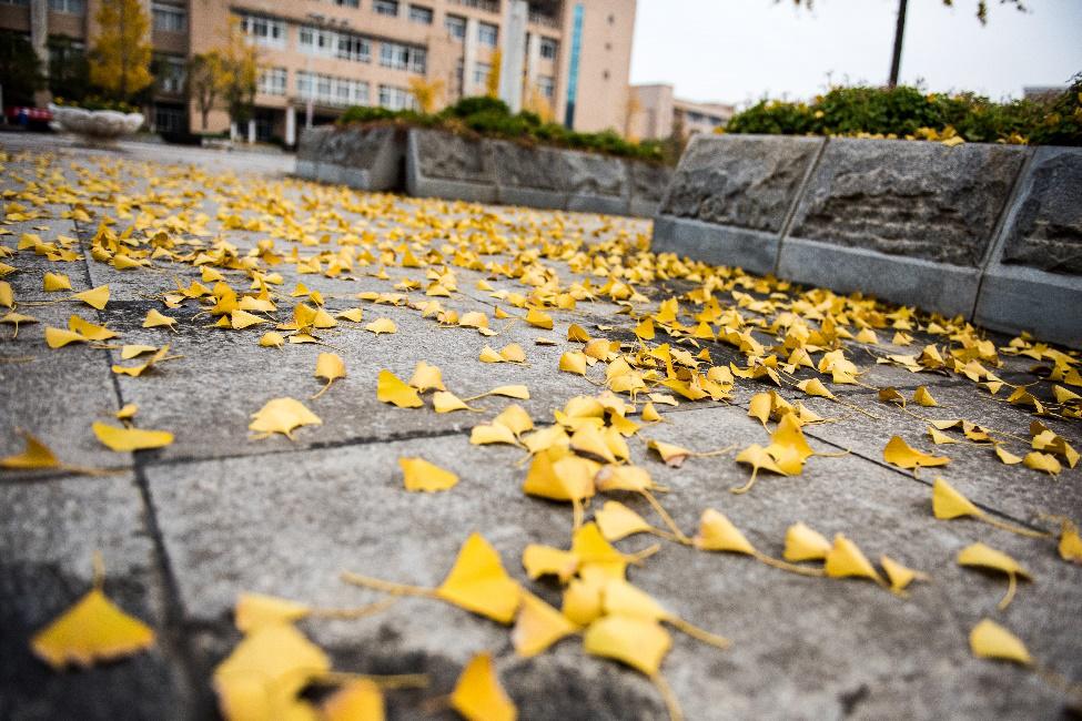 你好这里是成都,校园生活武汉科技大学