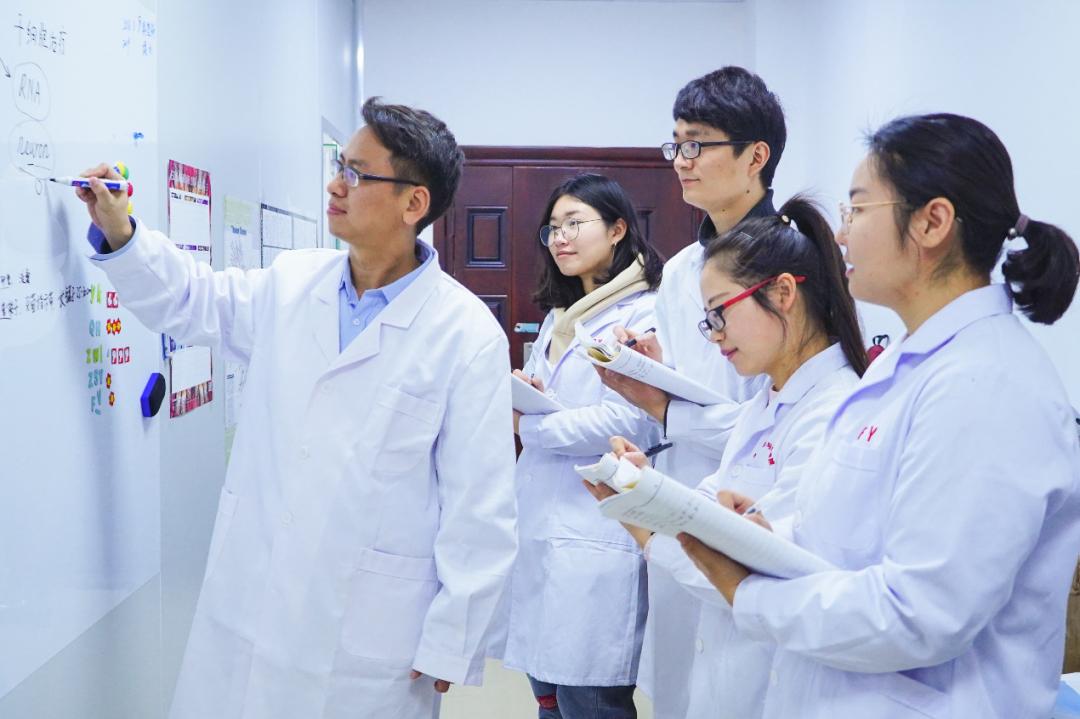 你好这里是成都,校园生活武汉科技大学