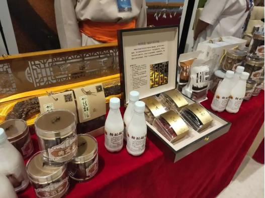 美在阿拉善,美在阿拉善岩画与汉简艺术展