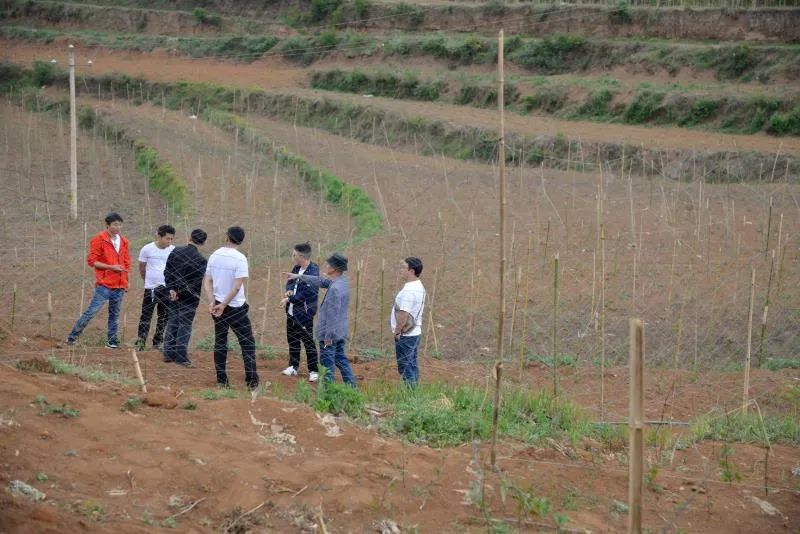 扶贫故事第三季,扶贫故事感动视频