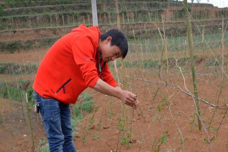 扶贫故事第三季,扶贫故事感动视频