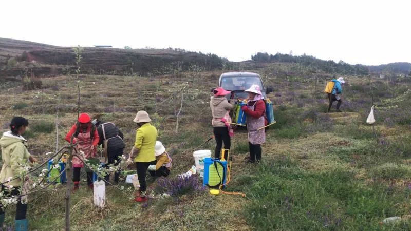 扶贫故事第三季,扶贫故事感动视频