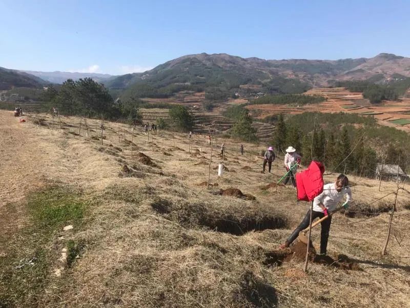 扶贫故事第三季,扶贫故事感动视频