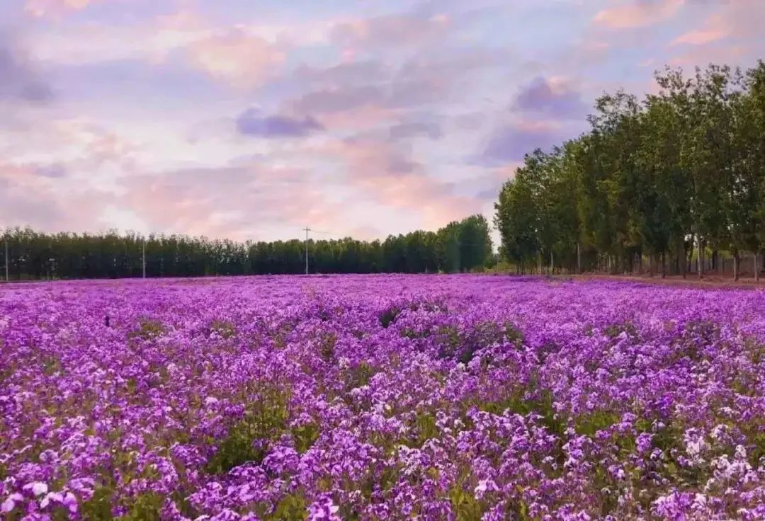 四步玩转亲子农场,周边好玩的亲子农场适合遛娃