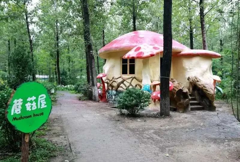 四步玩转亲子农场,周边好玩的亲子农场适合遛娃