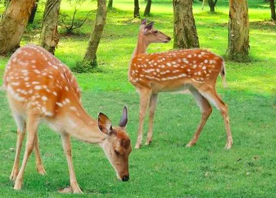 四步玩转亲子农场,周边好玩的亲子农场适合遛娃