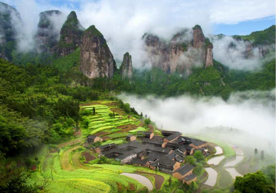 浙江省台州仙居县委书记林虹,2019年仙居县委书记林虹