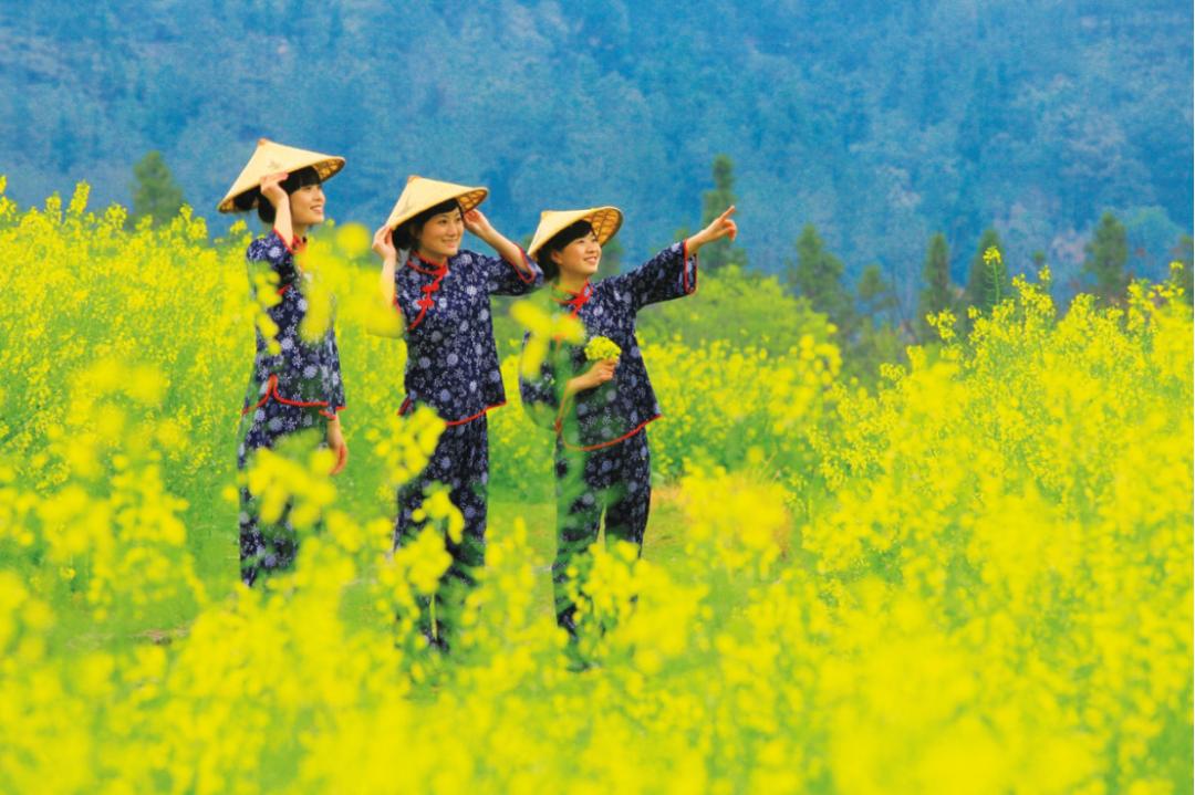 浙江省台州仙居县委书记林虹,2019年仙居县委书记林虹