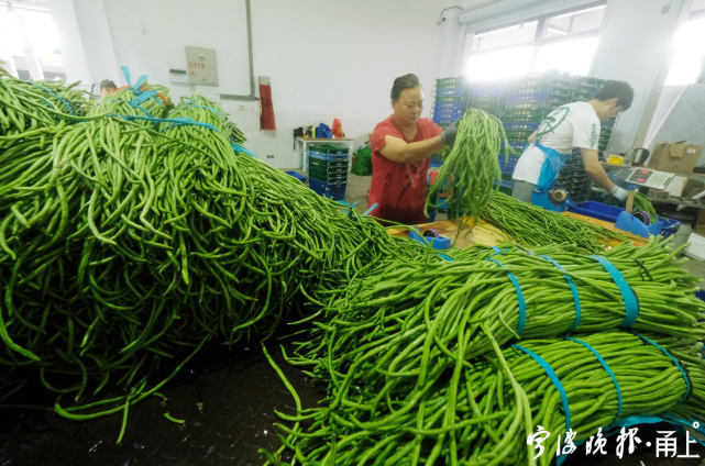 宁波三大巨头菜场,宁波最豪华的菜场