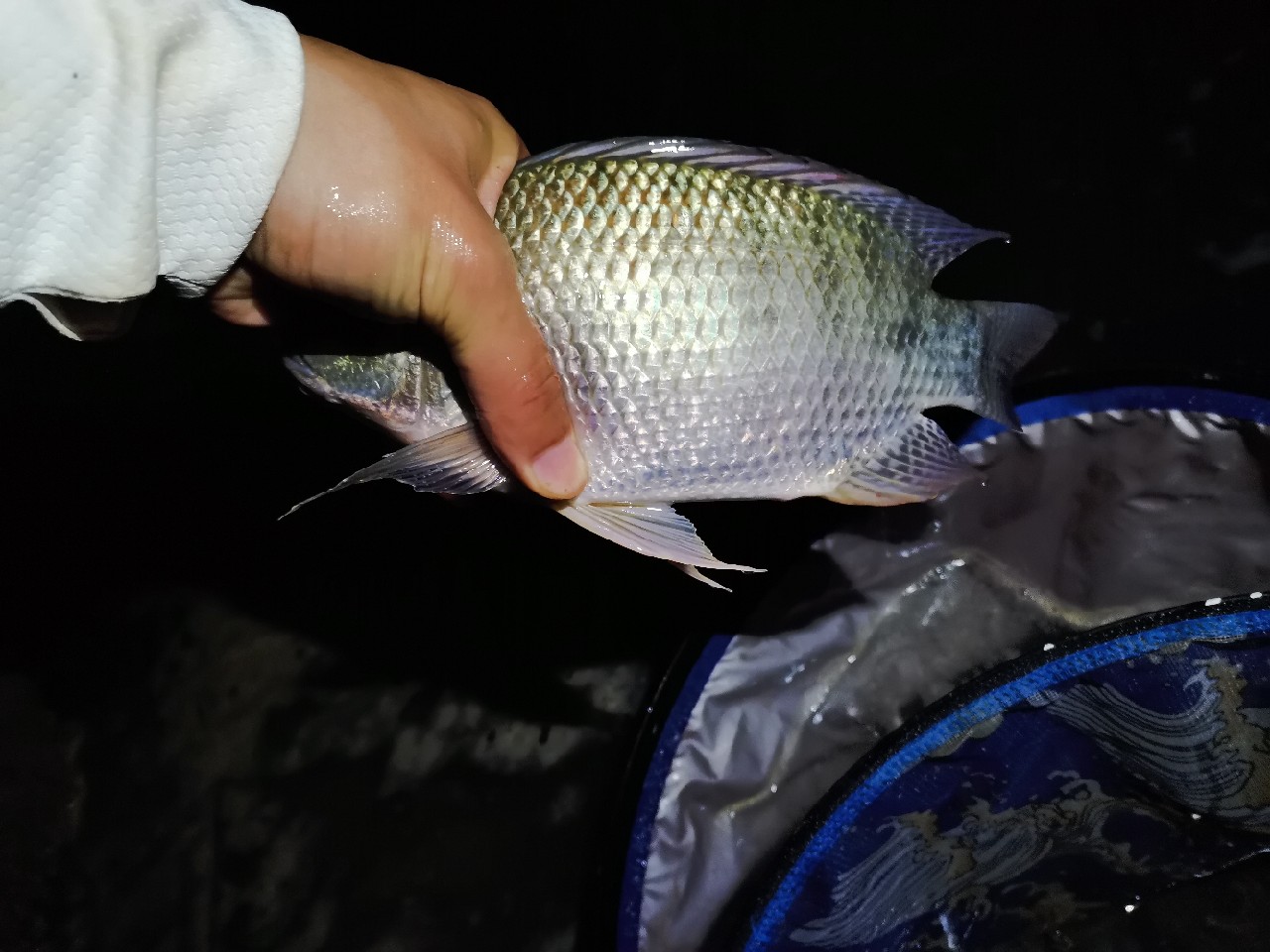 灏忓悍鍝ヤ竾宄版箹閽撻奔 (灏忓悍鍝ユ帰閽撲竾宄版箹)