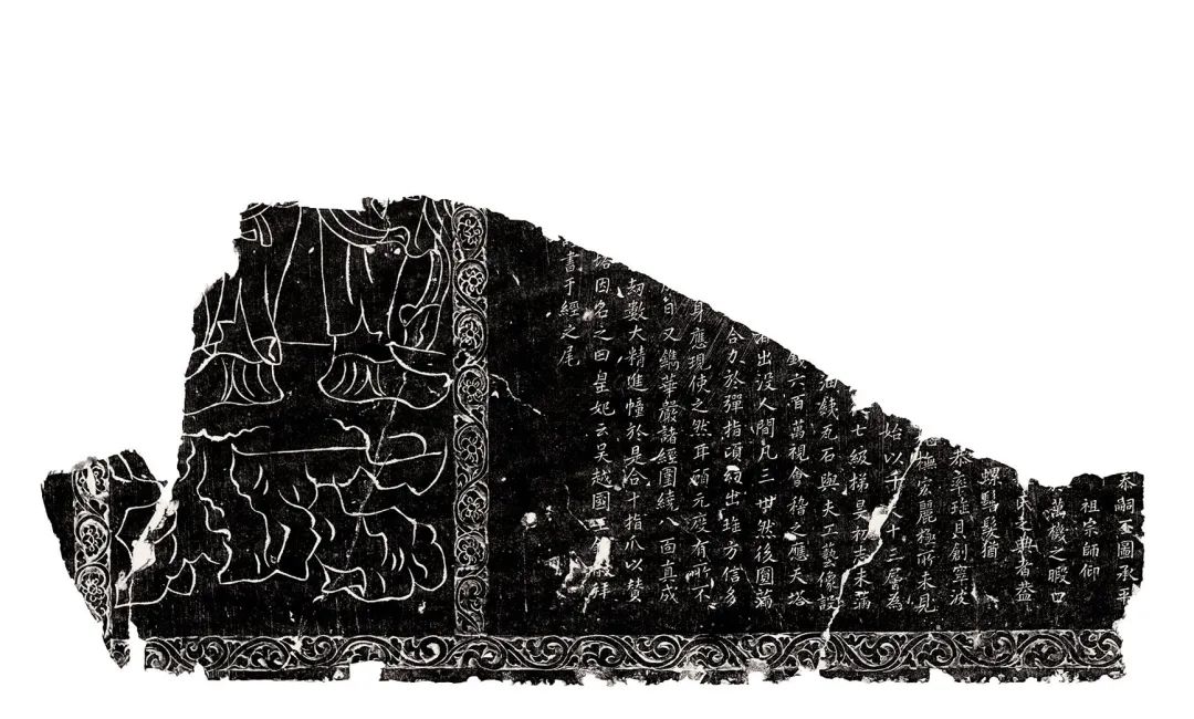 鸟类主题展,昆明鸟展