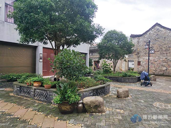 2019年7月20日丽水新闻,丽水新闻快讯